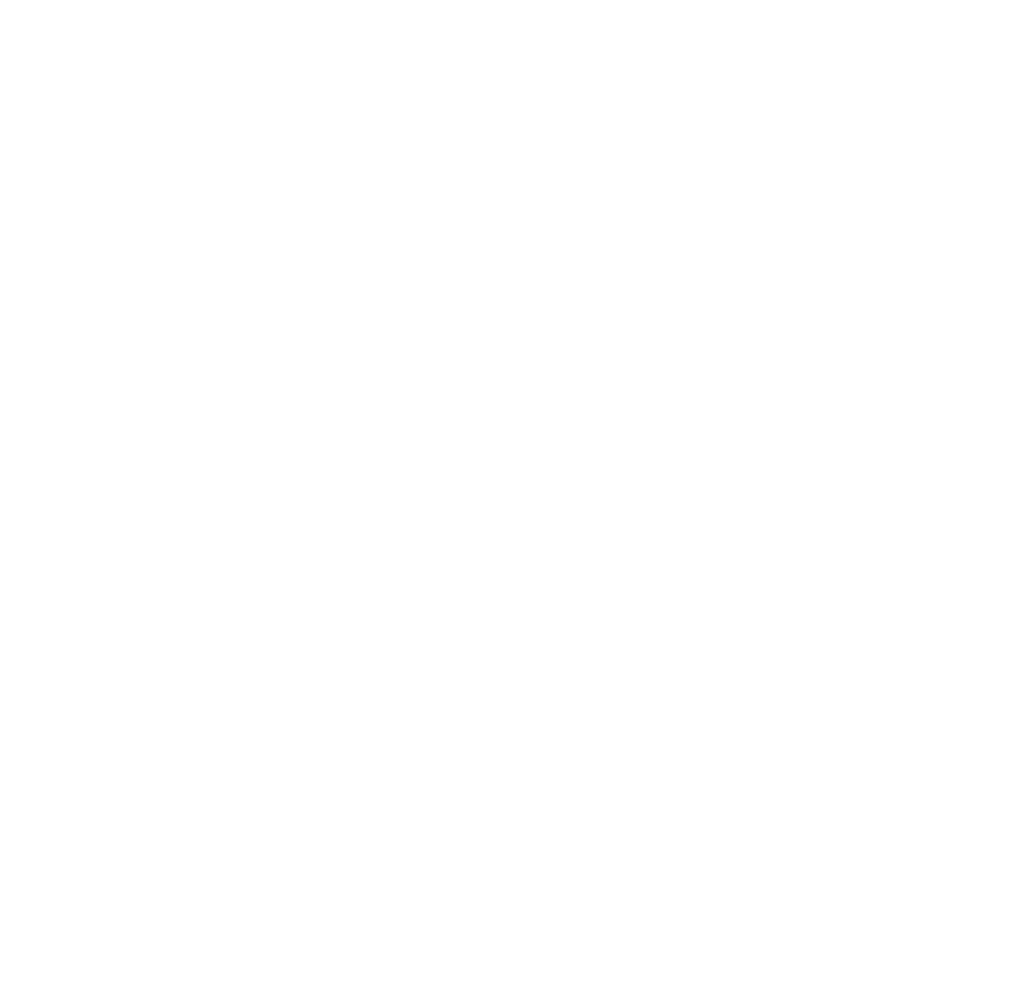 shishi - web designer freelance